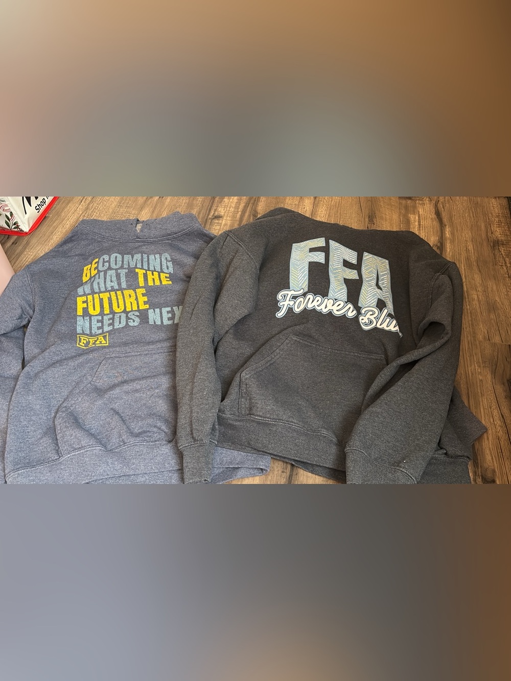 Women's Charcoal FFA 'Forever Blue' Graphic Pullover Hoodie and Women’s “future”